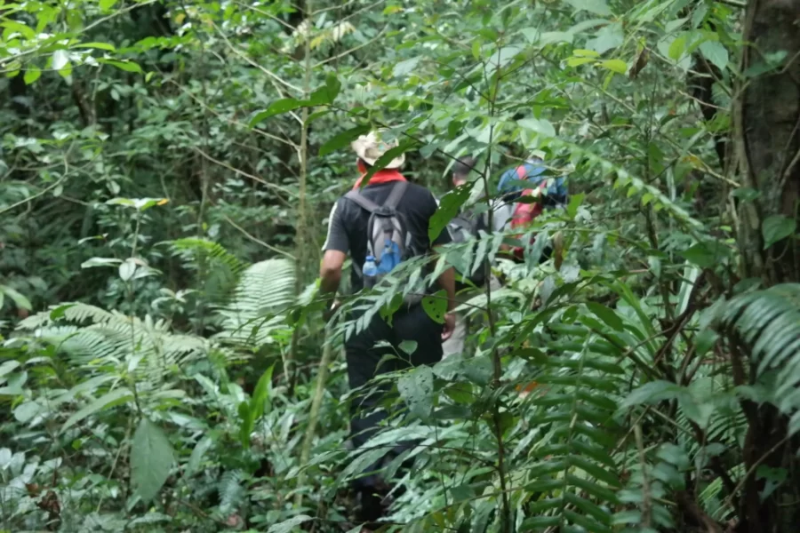 Deep Jungle Trekking